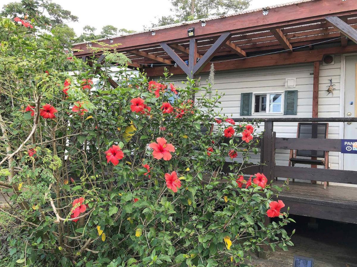 Panorama Ocean View Cottage Motobu Exterior foto