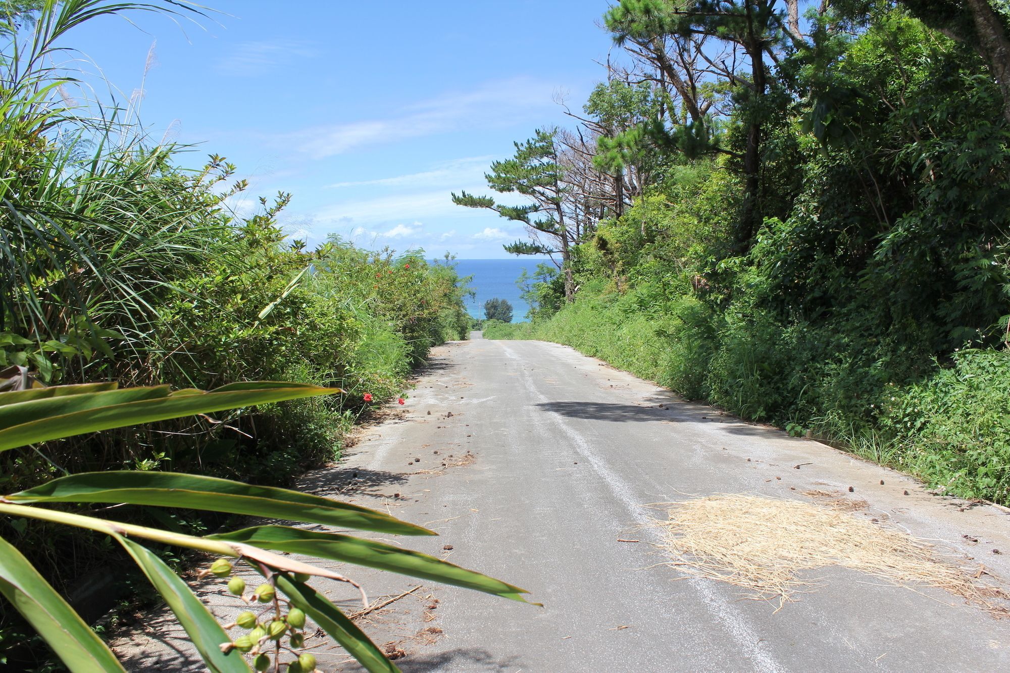 Panorama Ocean View Cottage Motobu Exterior foto